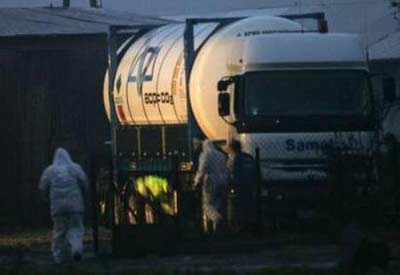 Nuevo brote de gripe aviar H5N1 encontrado en Polonia