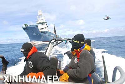 Liberados los activistas contra la caza de ballenas retenidos en un buque japonés