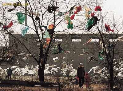 CHINA PLASTIC BAGS PROBLEM CHINA PLASTIC BAGS PROBLEM