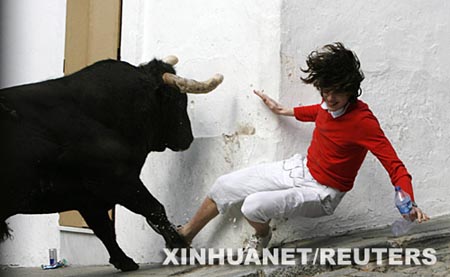 Fiesta Toro Embolao en Vejer de la Frontera