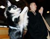 Un perro reza en el templo japonés Zeno