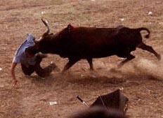 Premiada fotografía mostrando a corneado torero colombiano 