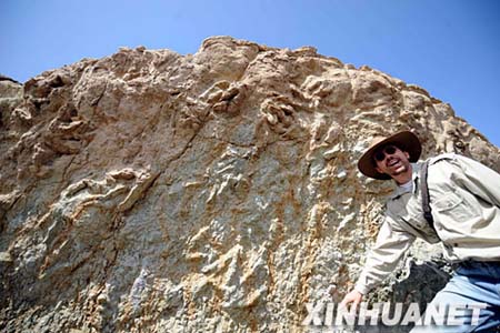 Huellas de dinosaurios de periodo jurásico descubiertas en China