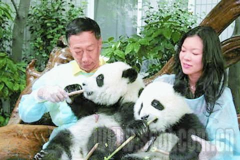 Magnate taiwanés Terry Guo adopta seis pandas al suroeste de China
