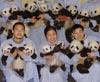 Pandas siguen vida feliz tras devastador sismo