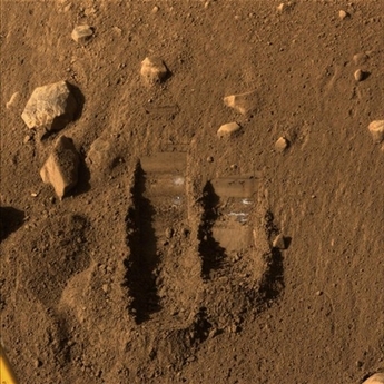 La sonda espacial Phoenix envía primera muestra de tierra a microscopio