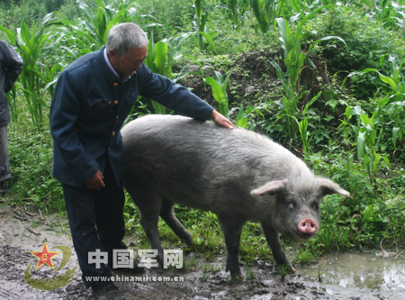 http://spanish.peopledaily.com.cn/mediafile/200806/24/F200806241037022239421743.jpg