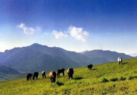 Cinco lugares de veraneo en los suburbios de Beijing