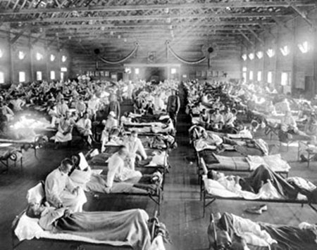 Los anticuerpos de los supervivientes de la gripe de 1918, útiles en la lucha contra la gripe aviar