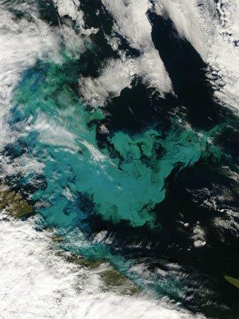 La Tierra a vista panorámica: imágenes desde erupción volcánica hasta tempestad de arena