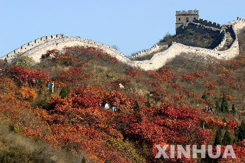 Las hojas rojas otoñales de Beijing son hermosas como las flores