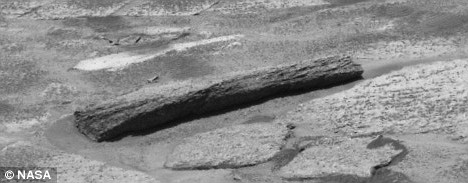 “Madera podrida” provoca discusión; ¿ocultó NASA bosque en Marte?
