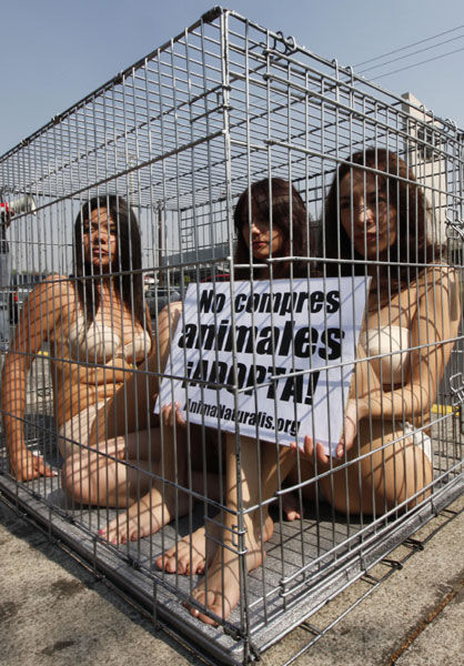 Mujeres mexicanas protestan semidesnudas en jaula contra venta ilegal de perros 
