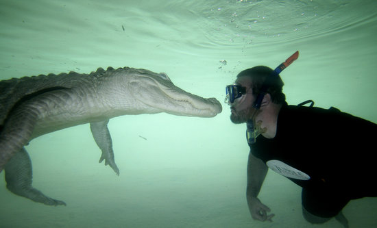 Bailando con cocodrilos a profundidades del agua