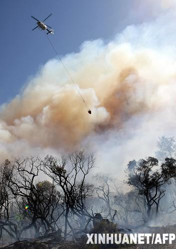 108 personas murieron en Australia a consecuencia de incendio forestal, supuestamente artificial