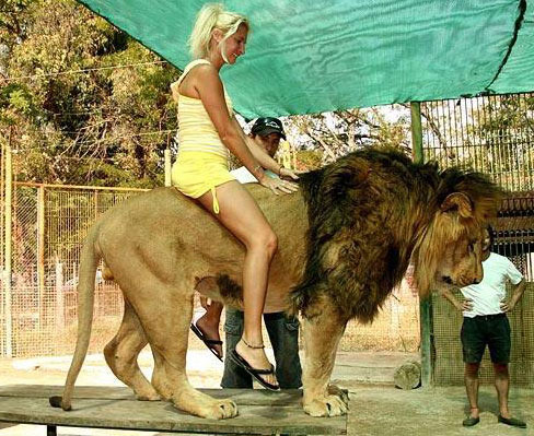 Argentina abre zoo más peligroso en el mundo. ¿Se atreve Ud. a entrar?