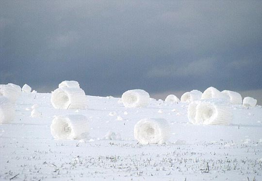 Rollos de nieve creados por la Naturaleza aparecen en estado de Idaho de EEUU