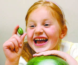 “Mini melón de agua” es bien aceptado en Inglaterra