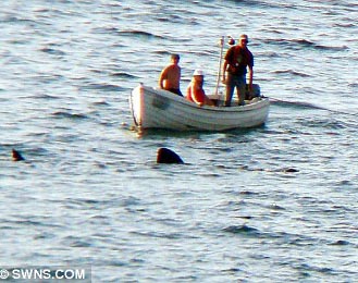 Turistas ingleses en barca, rodeados por 7 enormes tiburones