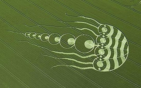 El misterio de los círculos en las cosechas 
