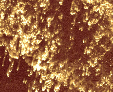 Nebulosa gaseosa se parece a hermosos fuegos artificiales