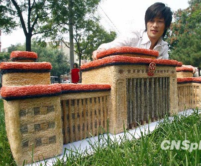 Aparece edición de cabello de “Plaza de Tiananmen” en miniatura