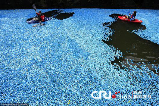 Carrera de más de 200.000 “patos” sobre río Thames
