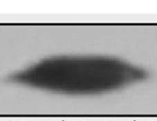 China logró fotografiar UFO en día de eclipse total de Sol