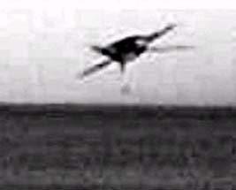 Sobre lago de Argentina aparece objeto volador similar a “pterosauro” prehistórico