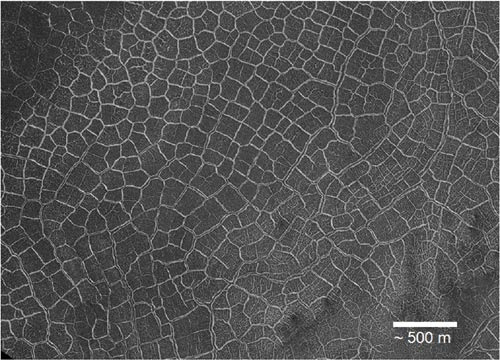 Rajas de muaré fotografiadas en cráteres de meteoritos en Marte podrían ser huellas dejadas por lagos desaparecidos