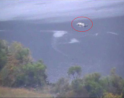 Irlanda: Aparece en lago Killarney “animal acuático raro” de 3 metros de largo en la parte sobre el nivel del agua
