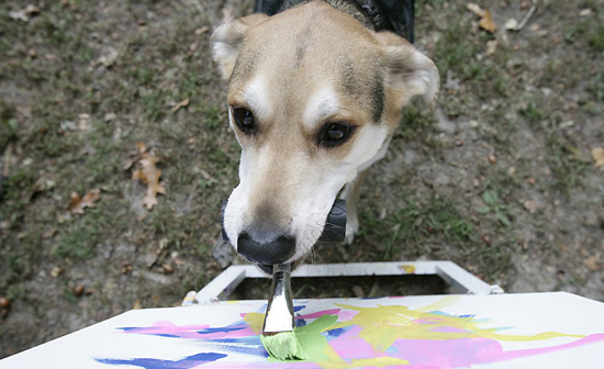 Cuadro al oelo pintado por un perro se vende por mil libras esterlinas