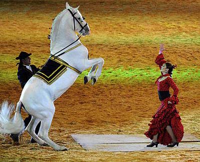 Bella mujer y corcel “bailan juntos” danza latina en arena