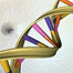 Investigadores de EE.UU. detectan cáncer a través de cambios en el ADN