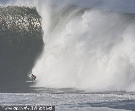 Surfistas compiten sobre grandes olas