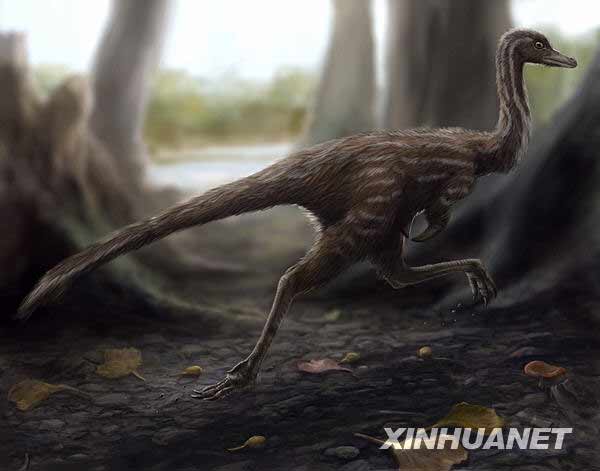 Descubren dinosaurio mononykus en la Provincia central china de Jenan
