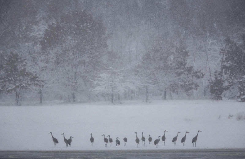 Las maravillas de invierno de todo el mundo