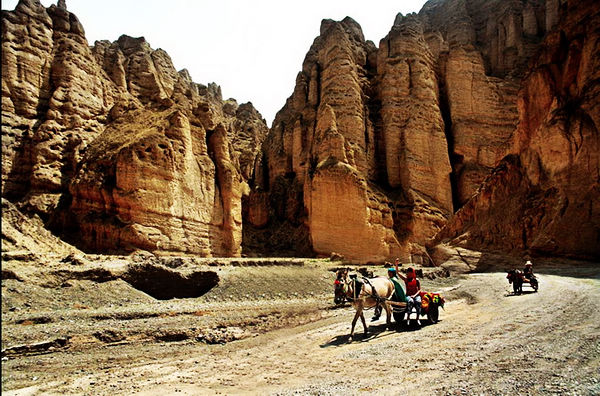 El bosque de piedra de Jingtai