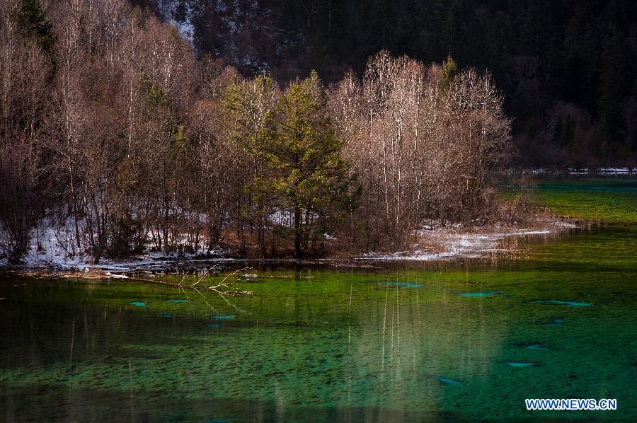Paisaje incomparable de Jiuzhaigou en suroeste de China 