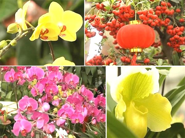 Comienza en Guangzhou la Feria de flores