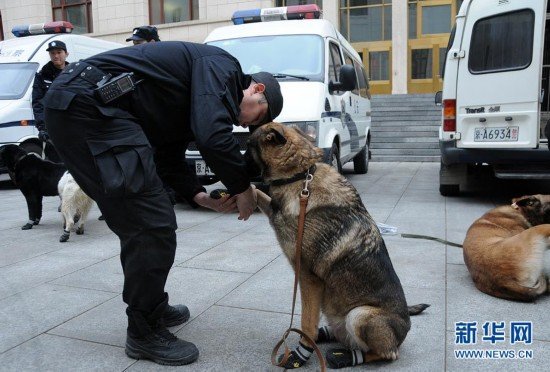 Los perros policía preparan para la seguridad de las dos sesiones