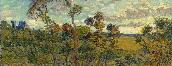 Descubierto un Van Gogh de su serie floral