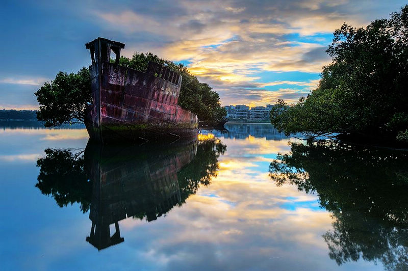“Bosque flotante” de Sidney