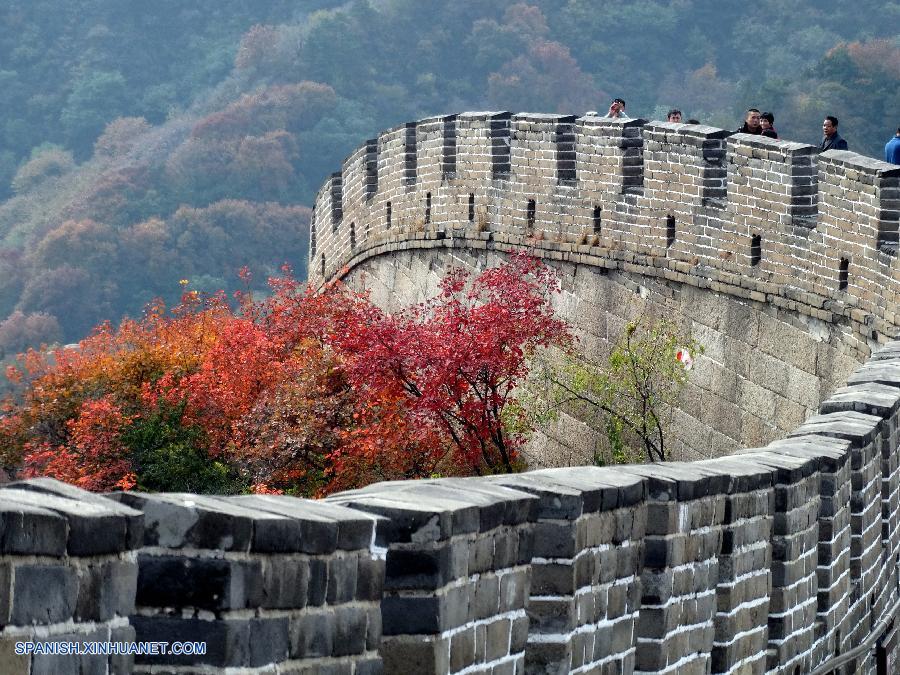 Hojas se vuelven rojas en la  Gran Muralla