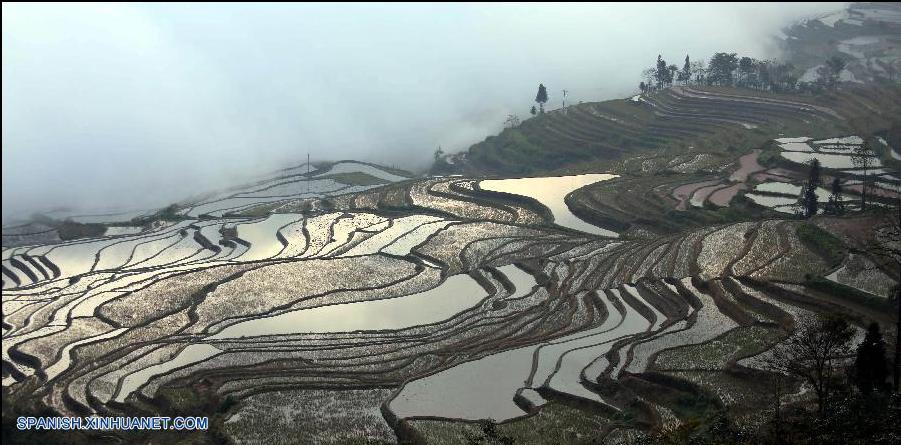 Paisaje de la Terraza de Arroz de Hani