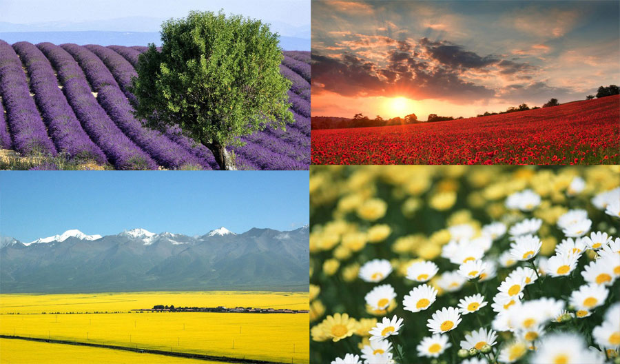 Los 10 destinos favoritos de los amantes de las flores