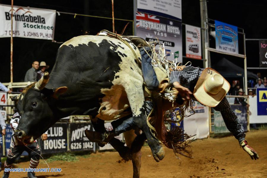 Competici N De Monta De Toros Atrae La Atenci N De Los Australianos