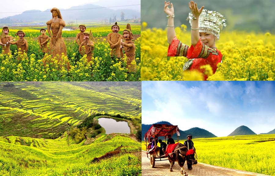 10 lugares donde disfrutar de las colzas en China