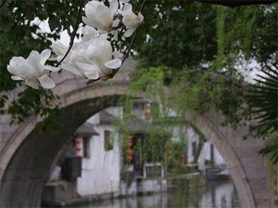 Disfrutar de la naturaleza en la Fiesta "Qingming"