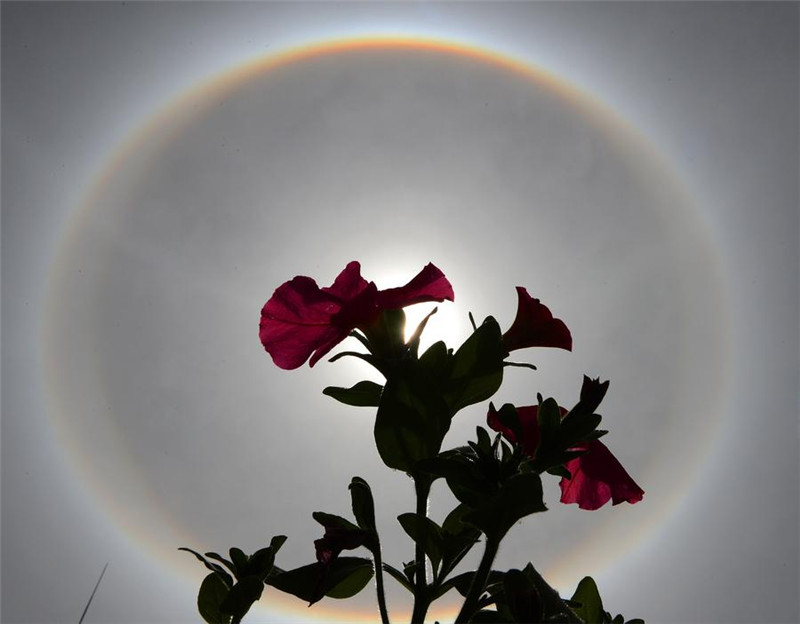 Arcoíris redondo en el cielo de Lhasa